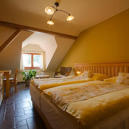 A Restaurace Palfrig 3* Stara Ves nad Ondrejnici